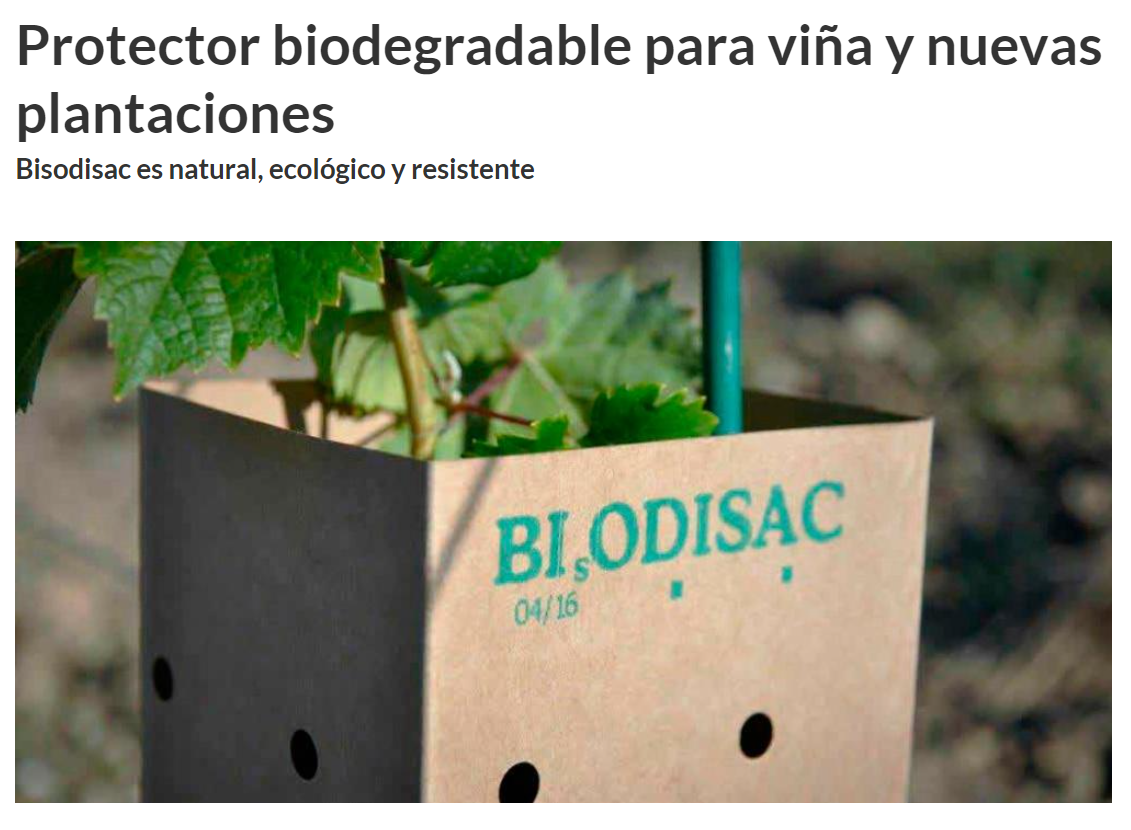 En este momento estás viendo MARTÍ AGRÍCOLA